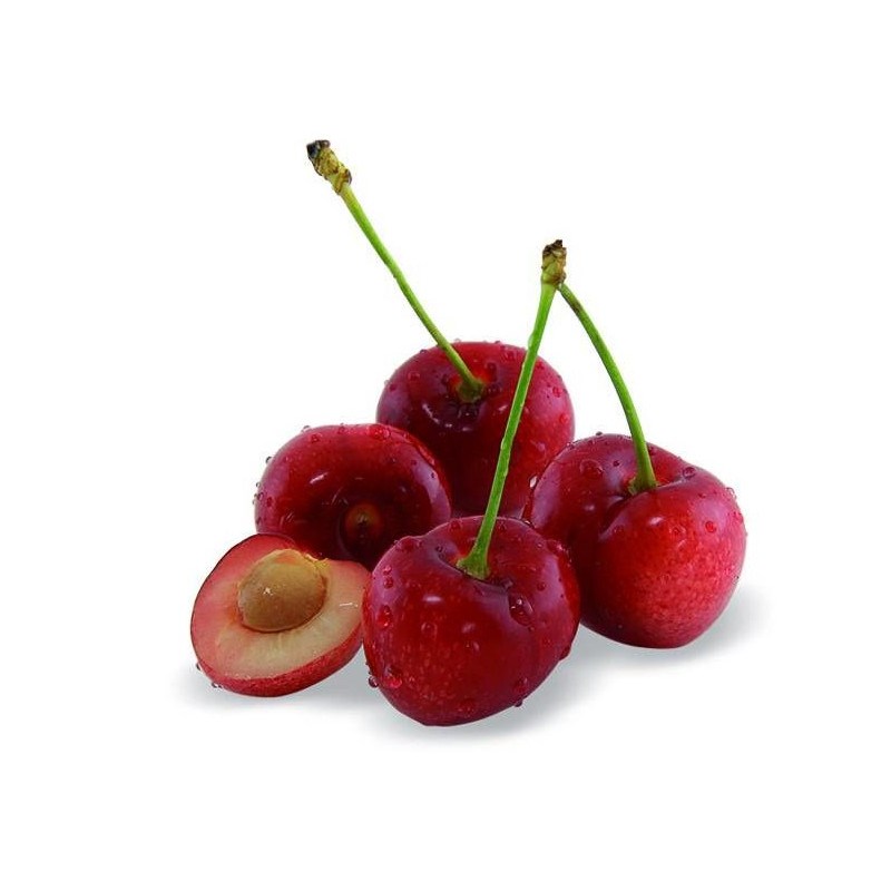 Plantes Avenue - Cerisier nain chérie cherry - nains de jardins® - pot de l