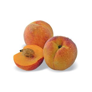 Pêcher nain pêche de poche - nains de jardins® - pot de l