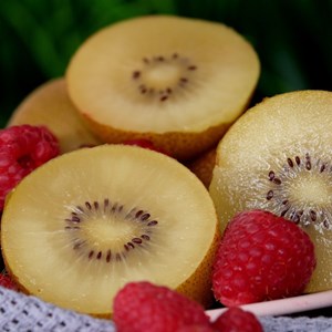 Kiwi deliciosa 'gold' (femelle) - pot de 3l