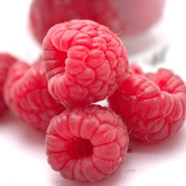 Framboisier malling promise - pot de 5l