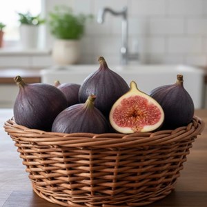 Figuier brown turkey, ficus carica - pot de 7.5l