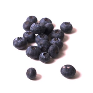 Myrtille duke, myrtillier - pot de 0.5l