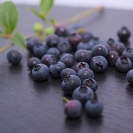 Myrtille brigitta - pot de 0.5l