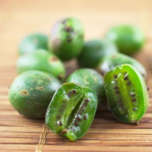 Kiwi de sibérie weiki (femelle), actinidia arguta, kiwaï - pot de 1.5l