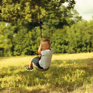 Balançoire disque brun