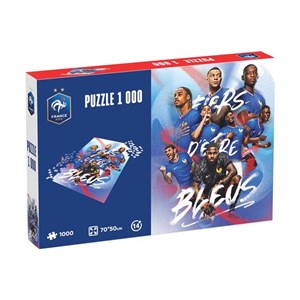 Puzzle 1000 pièces megableu fff