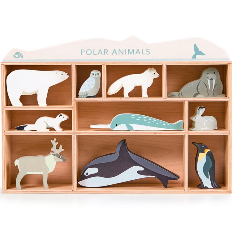 Set animaux animaux polaires