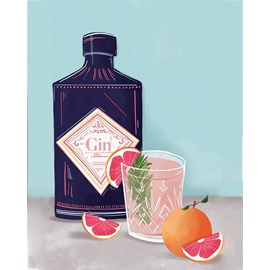 Peinture par numéros gin tonic 