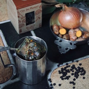 Bouillon bio indien - 48 sachets