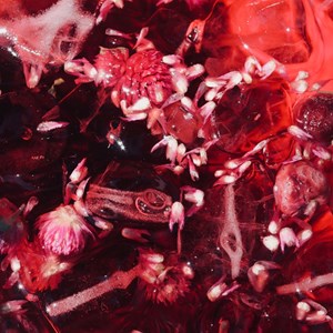 Infusion bio l'eau rubis - les glacés