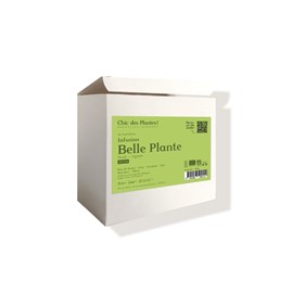 Infusion bio belle plante - détox  x48