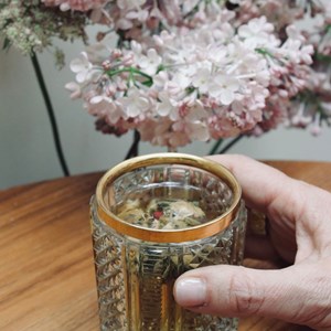 Infusion bio belle plante - détox  x48