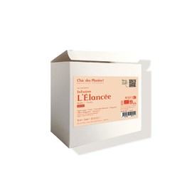 Infusion bio l'élancée - détox - x48