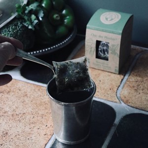 Bouillon bio super green - détox x12