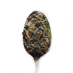 Bouillon bio super green - détox x48