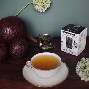 Thé vert bio fraîcheur du japon x48