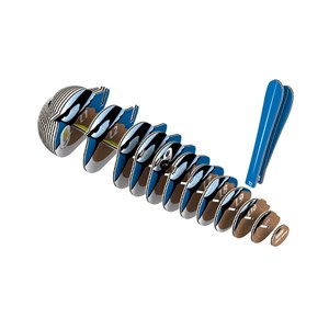 Mérion superbe – eugy 3d