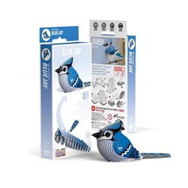 Geai bleu – eugy 3d