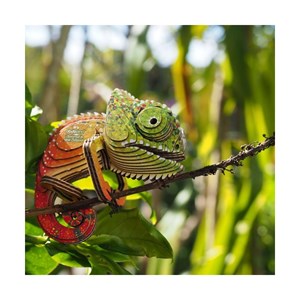 Caméléon – eugy 3d