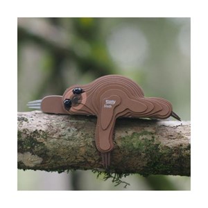 Paresseux – eugy 3d