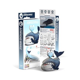 Baleine boréale – eugy 3d