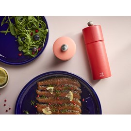 Cosy duo moulin poivre brique & moulin