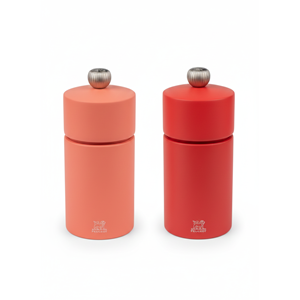 Cosy duo moulin poivre brique & moulin