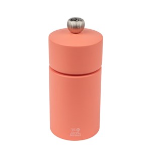 Cosy duo moulin poivre brique & moulin