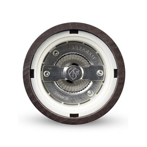 Paris électrique moulin à sel