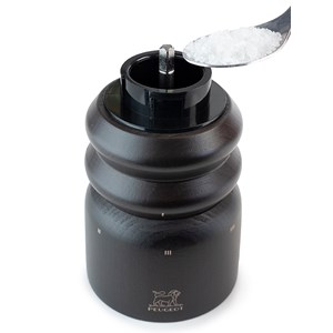 Paris électrique moulin à sel