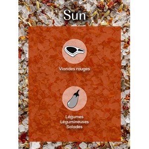 Sun mélange sel, ensoleillé, gourmand,