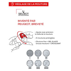 Maestro moulin à sel manuel en bois