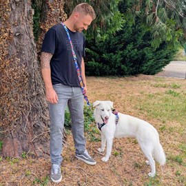 Laisse pour chien lagon multiposition