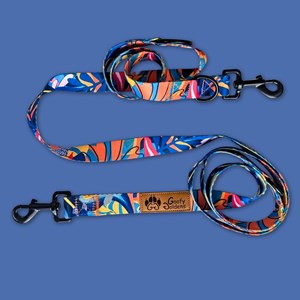 Laisse pour chien lagon multiposition