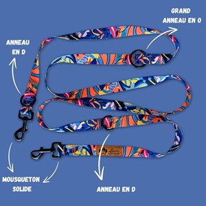 Laisse pour chien lagon multiposition