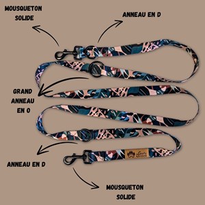 Laisse pour chien savane multiposition