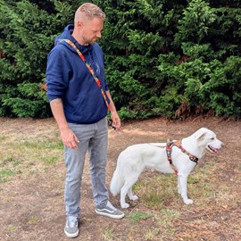 Laisse pour chien tropical multiposition