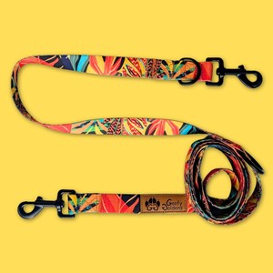 Laisse pour chien tropical multiposition