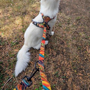 Laisse pour chien tropical multiposition