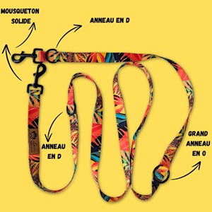 Laisse pour chien tropical multiposition