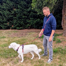 Laisse pour chien panache multiposition