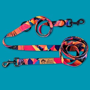 Laisse pour chien panache multiposition