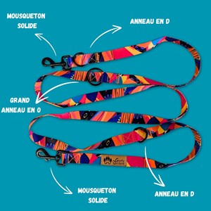 Laisse pour chien panache multiposition