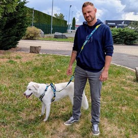 Laisse pour chien récif multiposition