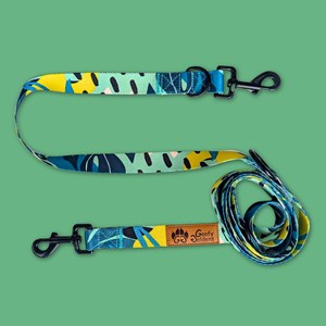 Laisse pour chien récif multiposition