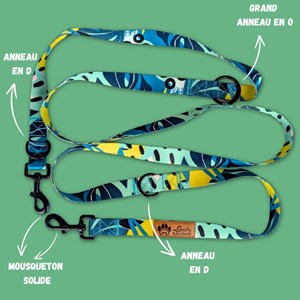 Laisse pour chien récif multiposition