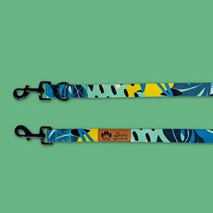 Laisse pour chien récif multiposition