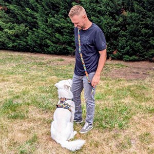 Laisse pour chien mandala multiposition