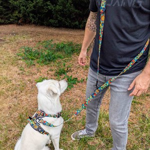 Laisse pour chien mandala multiposition