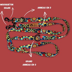 Laisse pour chien mandala multiposition